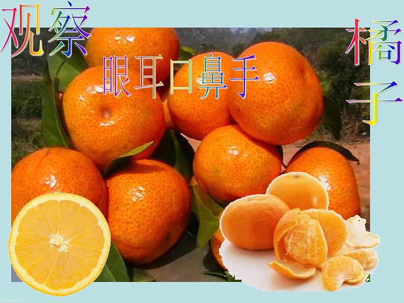 初中记叙文写作训练基础篇（3）（积累词语）课件PPT07