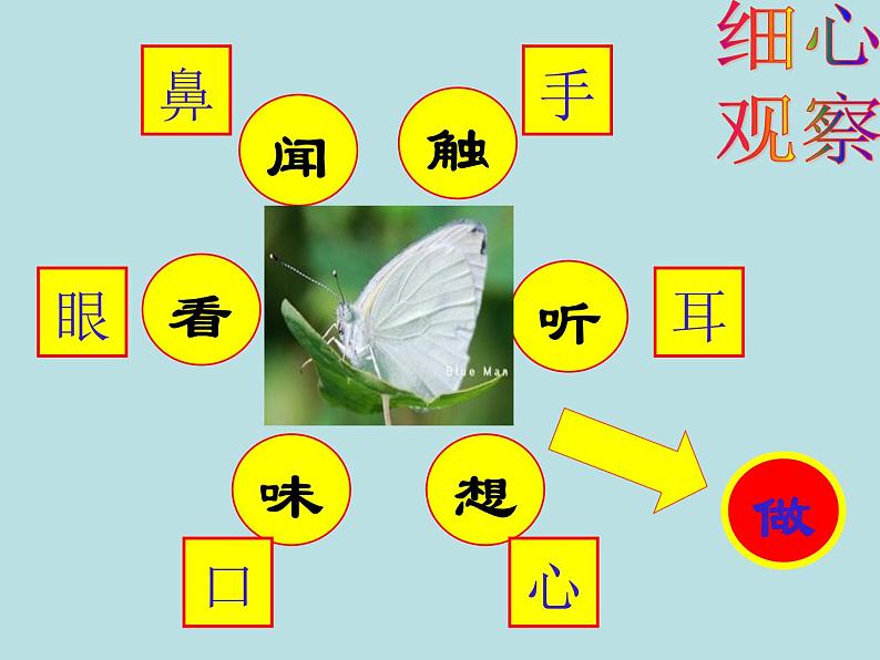 初中记叙文写作训练基础篇（5）（具体描写）课件PPT04