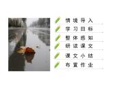部编版语文七年级上册 3  雨的四季（课件+教案+朗读）