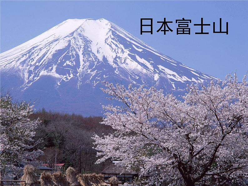 部编版语文七年级上册 综合性学习   有朋自远方来课件PPT03