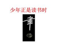 2021学年综合性学习 少年正是读书时课文课件ppt