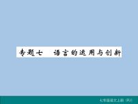 部编版语文七年级上册 专题七 语言的运用与创新 练习课件