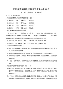 2020年疫情武汉中考语文模拟定心卷（九）（解析版）