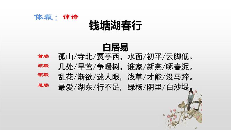 2021—2022学年部编版语文八年级上册 第13课《唐诗五首——钱塘湖春行》课件（共20张PPT）08