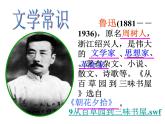 部编版语文七年级上册 9  从百草园到三味书屋（课件+教案+朗读）