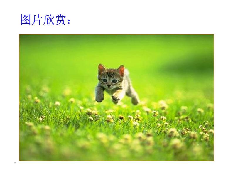 部编版语文七年级上册 16  猫（课件+教案+朗读）04