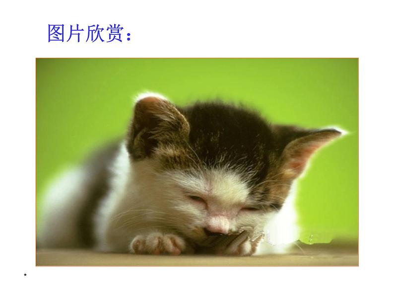 部编版语文七年级上册 16  猫（课件+教案+朗读）05