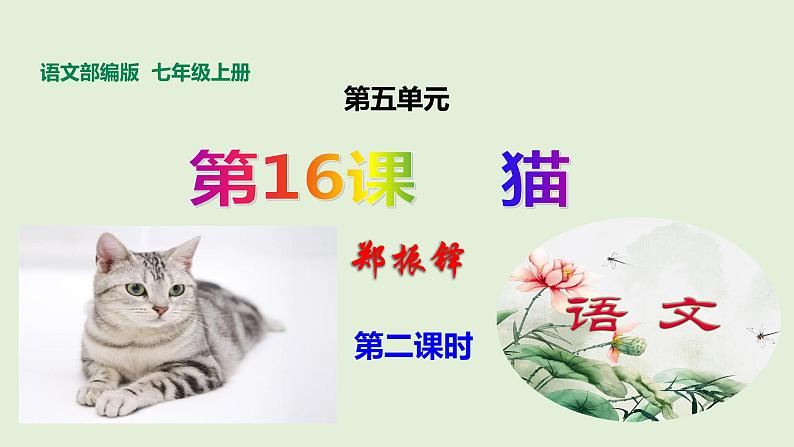 部编版七年级语文上册16.猫（共2课时）课件PPT01
