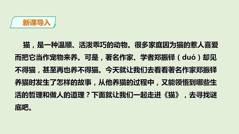 部编版七年级语文上册16.猫（共2课时）课件PPT02