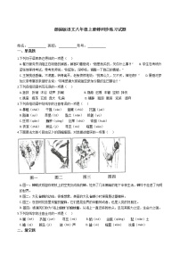 人教部编版八年级上册21* 蝉复习练习题