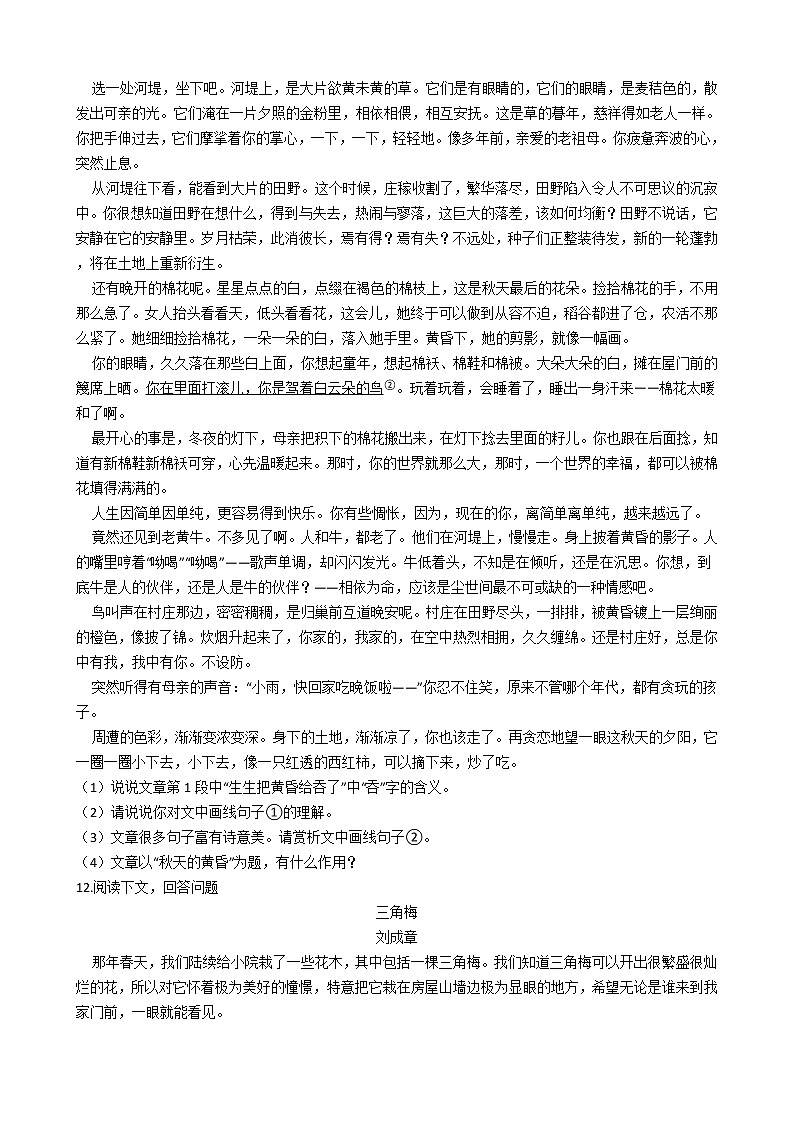 部编版语文八年级上册昆明的雨同步练习试题03