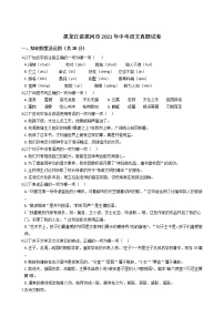 黑龙江省黑河市2021年中考语文真题试卷含答案