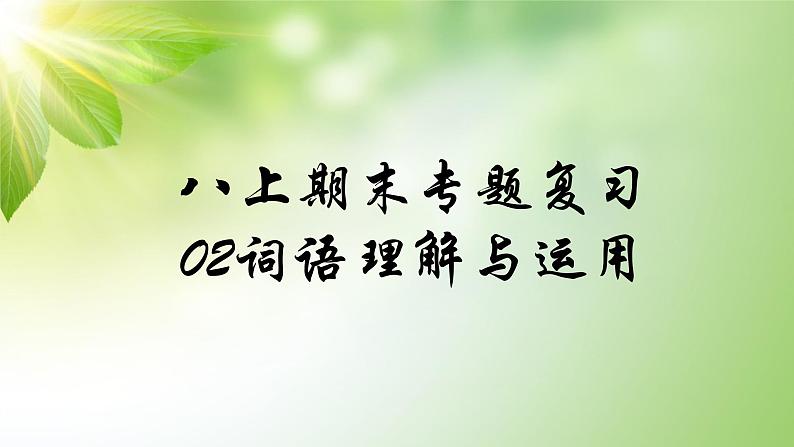 人教部编版语文八年级上册期末专题复习课件之02词语理解与运用01