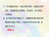 人教部编版语文八年级上册期末专题复习课件之04综合性学习