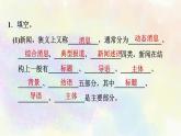 人教部编版语文八年级上册期末专题复习课件之05名著与文学常识