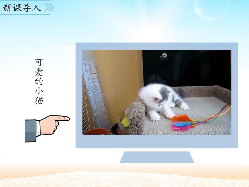 部编版（五四）语文七年级上 16 猫_（课件）02