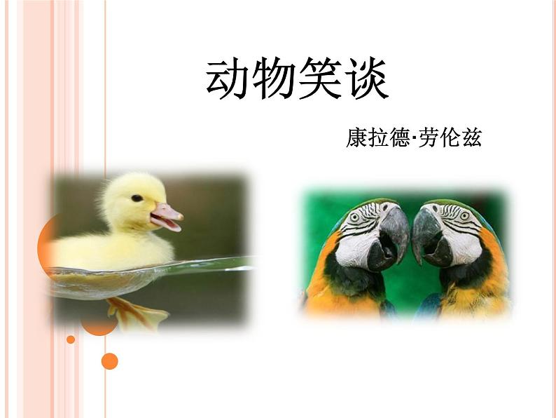 部编版（五四）语文七年级上 17 动物笑谈（课件）01