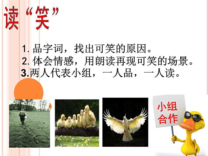 部编版（五四）语文七年级上 17 动物笑谈（课件）07