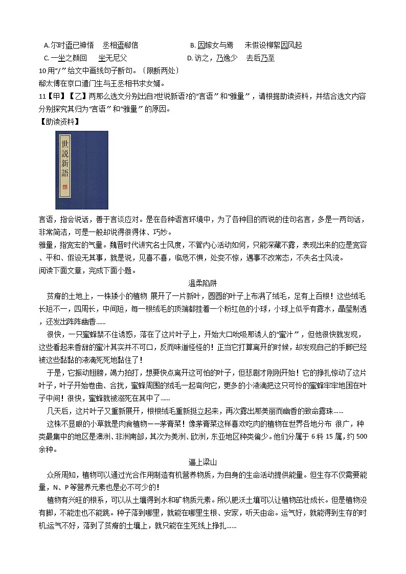2021年广东省湛江市七年级上学期语文期中考试试题附答案第3页