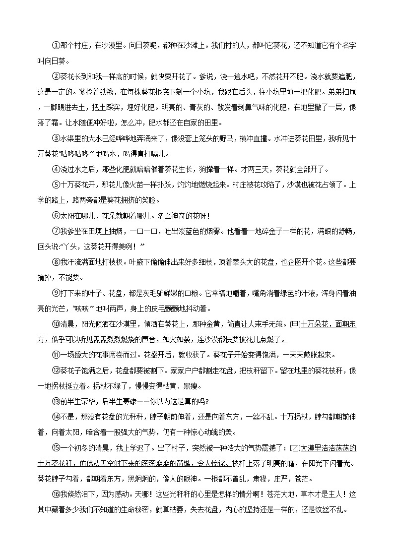 2021年浙江省绍兴市柯桥区九年级上学期语文期中试卷附答案03