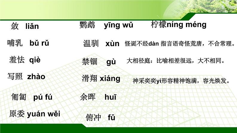 2021—2022学年部编版语文七年级上册 第17课《动物笑谈》课件（23张PPT）04