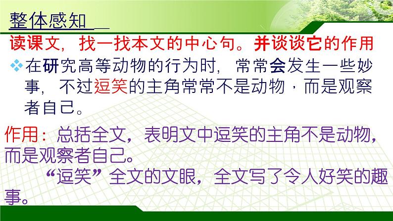 2021—2022学年部编版语文七年级上册 第17课《动物笑谈》课件（23张PPT）06