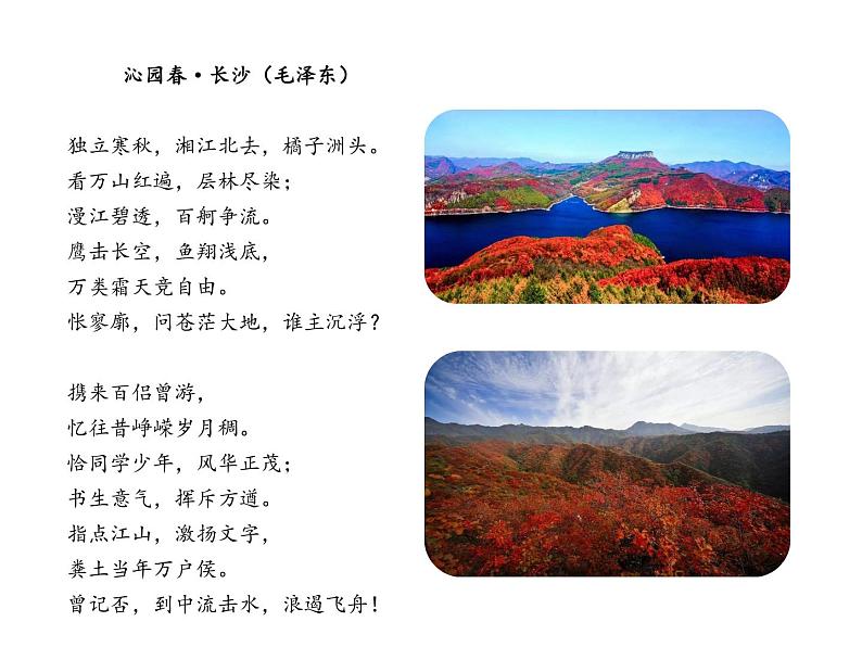 部编版七年级上册语文--第四单元 12 纪念白求恩 （课件）04