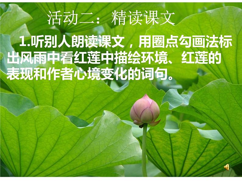 2021-2022学年部编版语文七年级上册 第7课《散文诗二首-荷叶母亲》课件（共24页）第8页