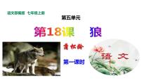 初中语文人教部编版七年级上册18 狼课文课件ppt