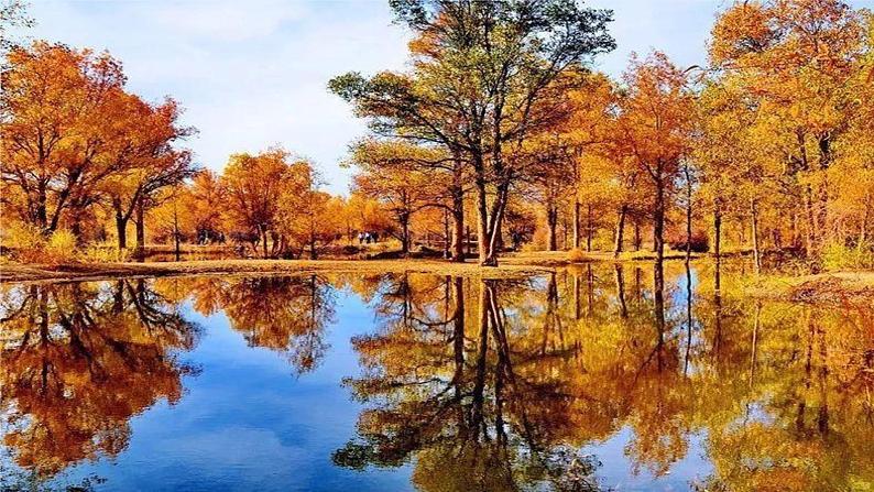 第13课《唐诗五首之＜野望＞＜黄鹤楼＞＜使至塞上＞》课件（共71张PPT）　2021－2022学年部编版语文八年级上册03