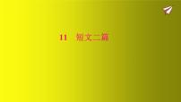 语文人教部编版答谢中书书多媒体教学ppt课件