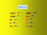 第11课《短文二篇》课件（共58张PPT）　2021-2022学年部编版语文八年级上册