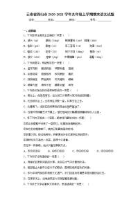 云南省保山市2020-2021学年九年级上学期期末语文试题(word版含答案)