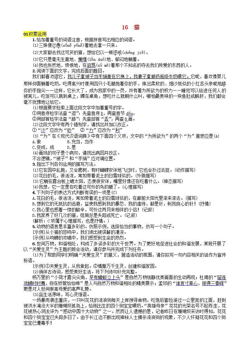 河北专版七年级语文上册第五单元猫练习新人教版第1页