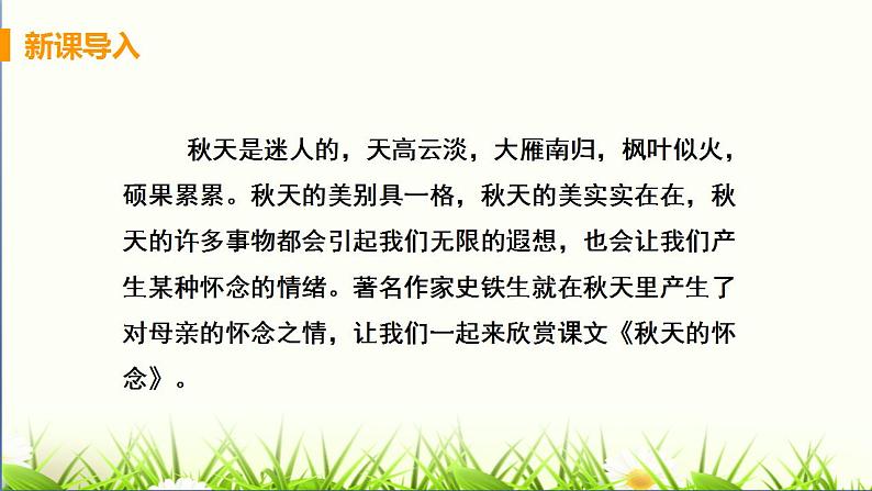 2021-2022 统编教材七年级上册 《秋天的怀念》教学课件第4页