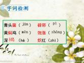 部编版（五四）语文八年级上 17.昆明的雨（课件）