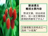 部编版（五四）语文八年级上 17.昆明的雨（课件）
