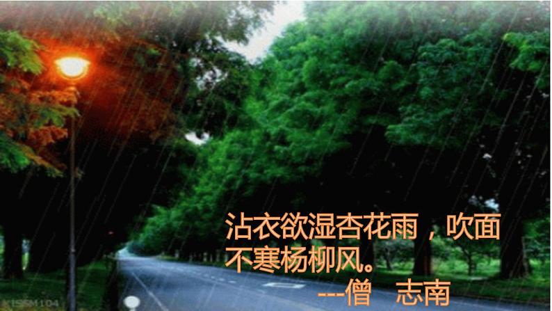 部编版（五四）语文八年级上 17. 昆明的雨（课件）06