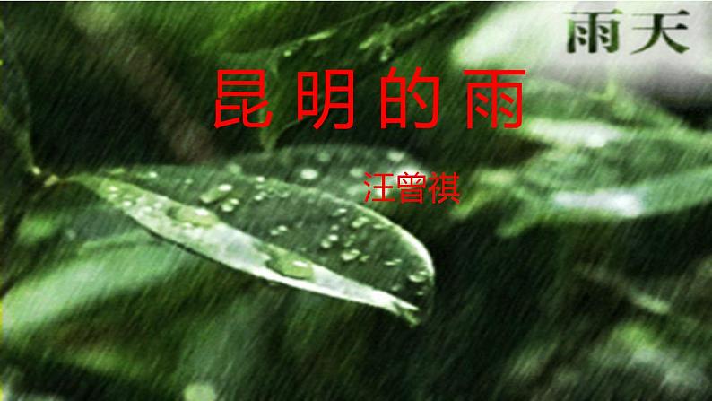 部编版（五四）语文八年级上 17. 昆明的雨（课件）08