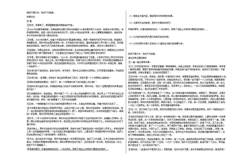 2020-2021年河南省鹤壁市初一（下）期末考试语文试卷部编版第2页