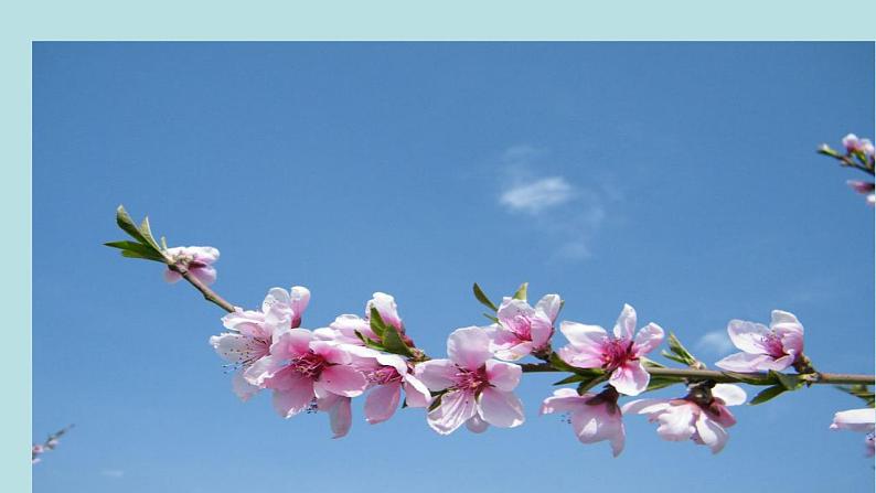 人教版七年级语文上册第1课《春》课件02