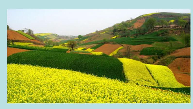 人教版七年级语文上册第1课《春》课件03