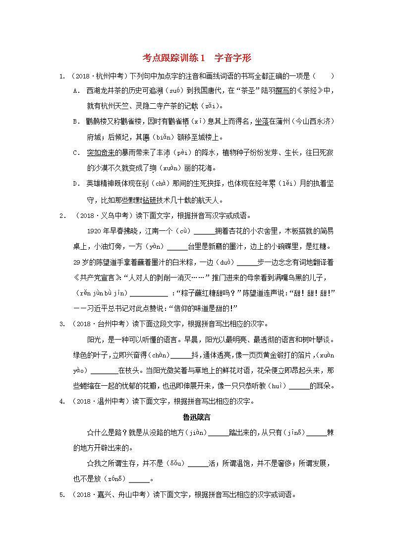 中考语文复习考点跟踪训练1字音字形含答案01