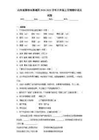山东省潍坊市潍城区2020-2021学年八年级上学期期中语文试题(word版含答案)