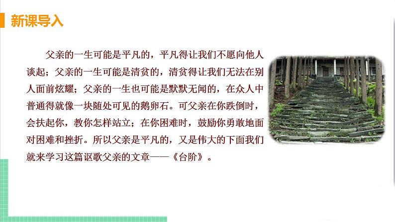 2021年语文人教部编版 七年级下册第三单元 12 台阶课件PPT第4页