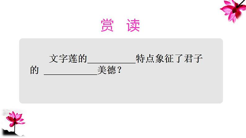 七年级下册第四单元《爱莲说》课件（人教部编版）第7页