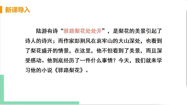 2021年语文人教部编版 七年级下册第四单元15 驿路梨花 课件第4页