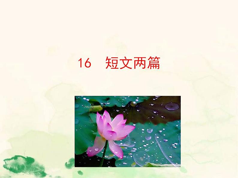 七年级语文下册 4.16 爱莲说 课件（人教部编版）第1页