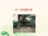 七年级语文下册 5.20 游山西村 课件（人教部编版）