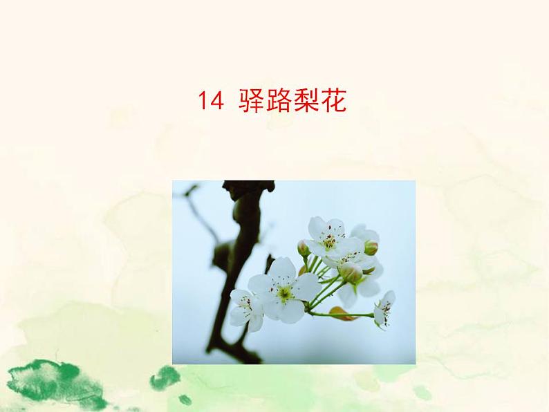 七年级语文下册 4.14 驿路梨花 课件（人教部编版）第1页